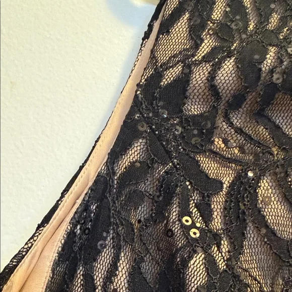 DressBarn Collection Elegant Black Lace Evening Dress - Picture 8 of 14